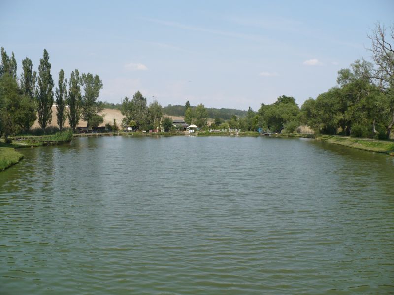 P1000685x.jpg